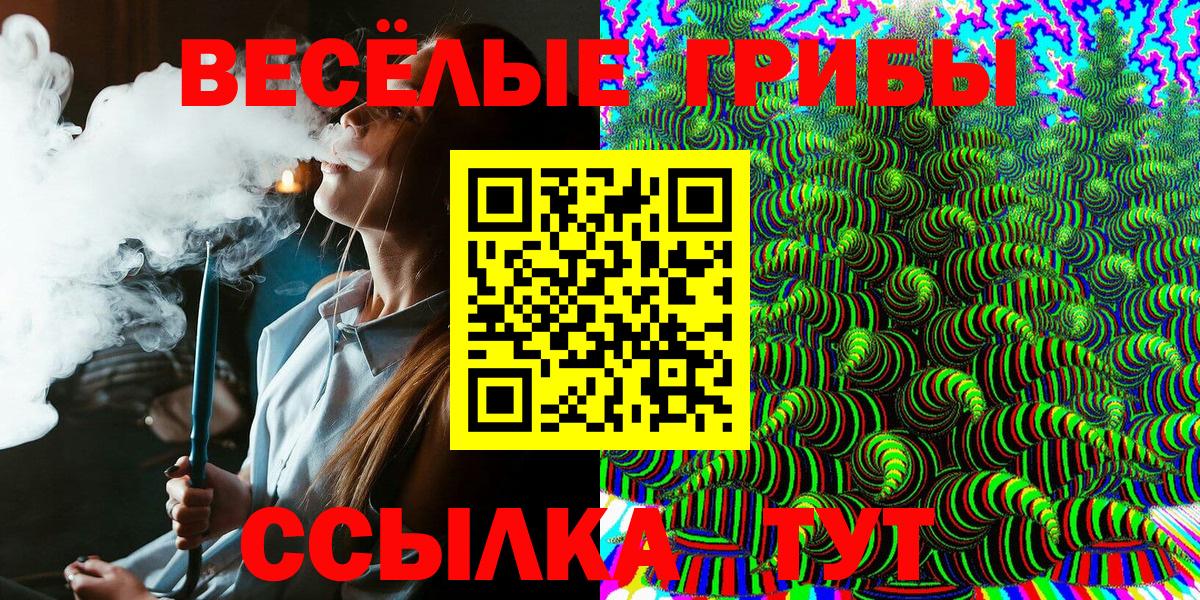 Псилоцибиновые грибы Cubensis Асино